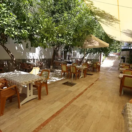 Paradise ホテル 3*