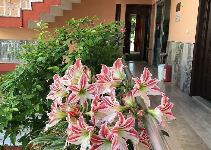 Ξενοδοχείο Paradise 3*